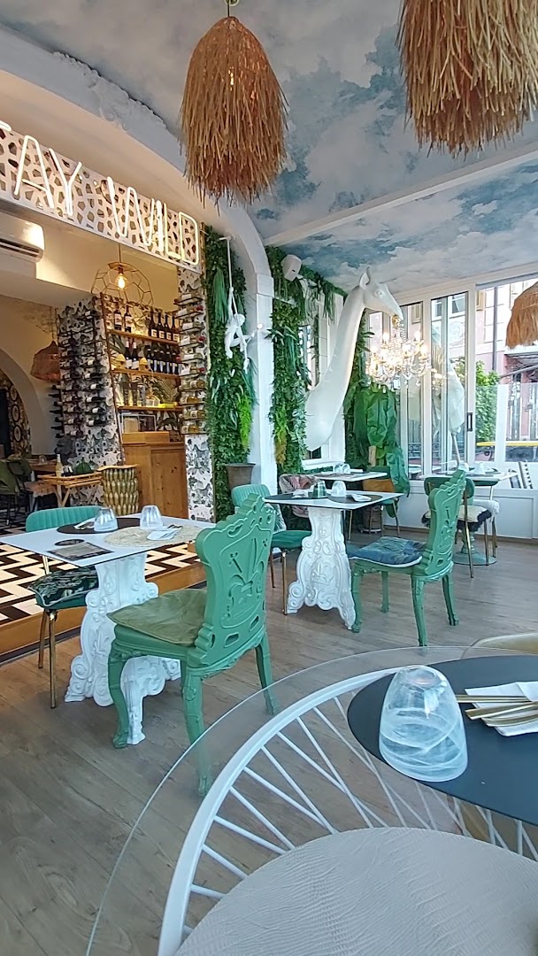 SJUNGLE ALASSIO
