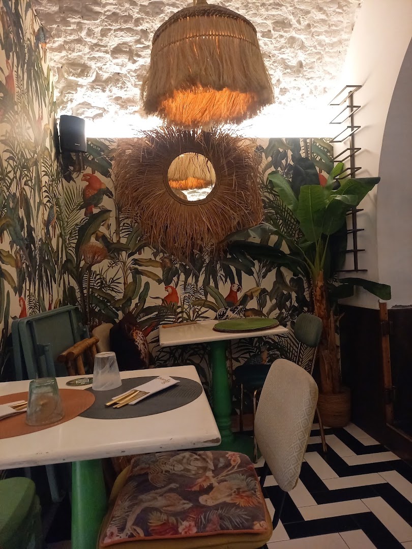 SJUNGLE ALASSIO