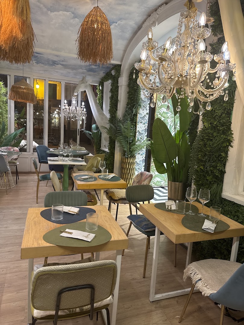 SJUNGLE ALASSIO