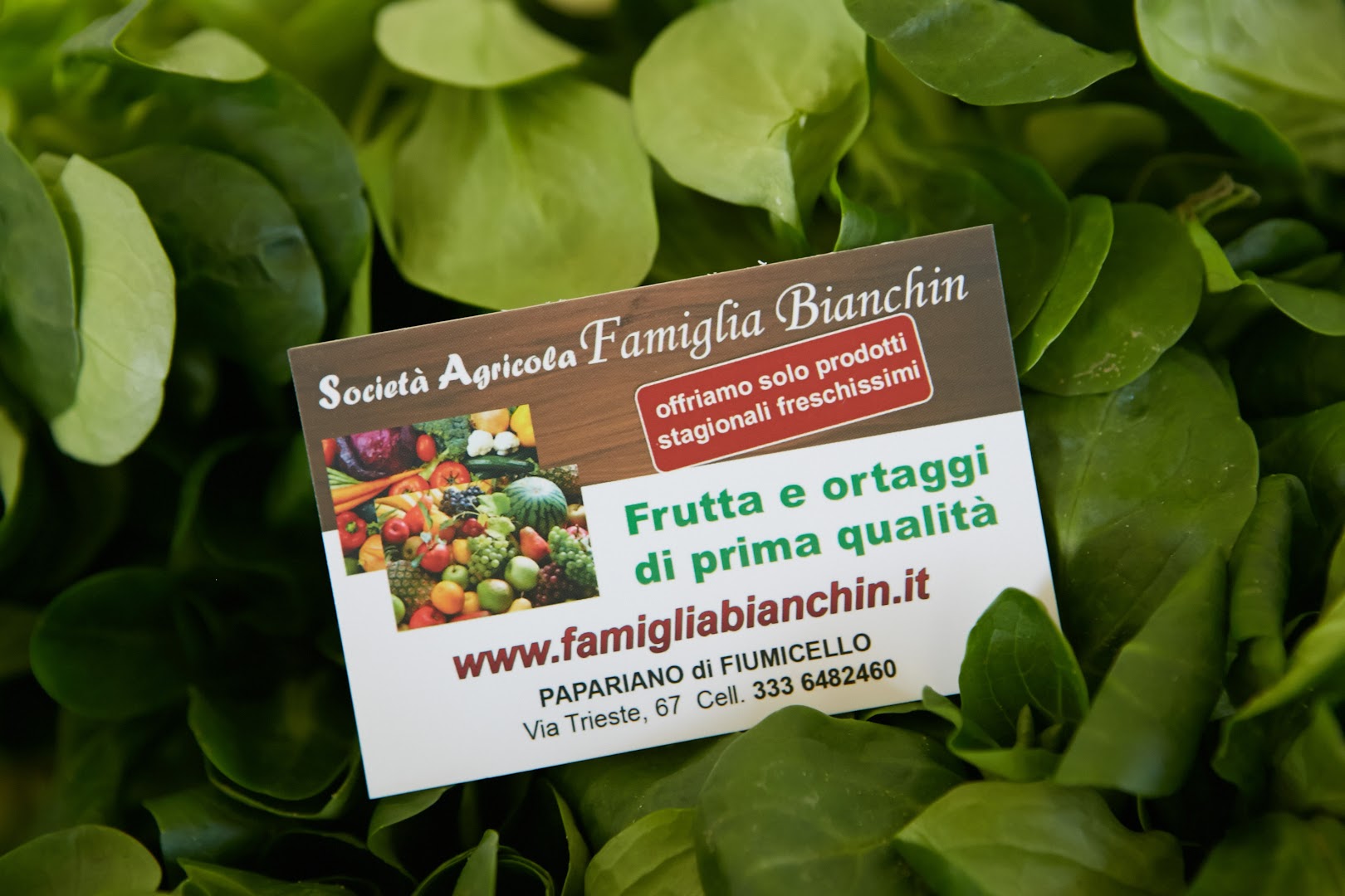 Società Agricola Famiglia Bianchin SS