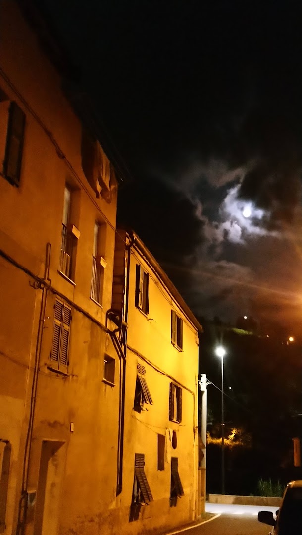 Società Vado Ligure
