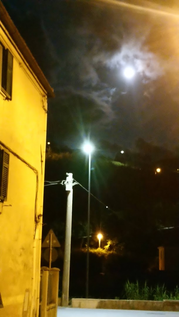 Società Vado Ligure