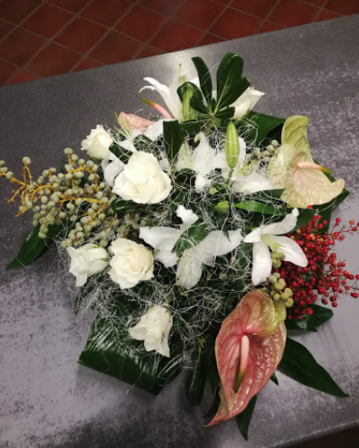 Sola Enrico Fiori e Piante, Cossato