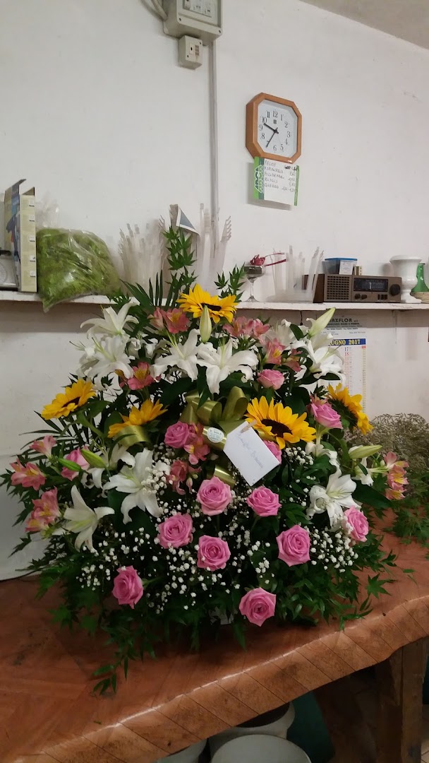 Sola Enrico Fiori e Piante