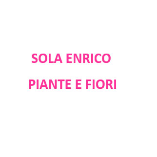 Sola Enrico Fiori e Piante
