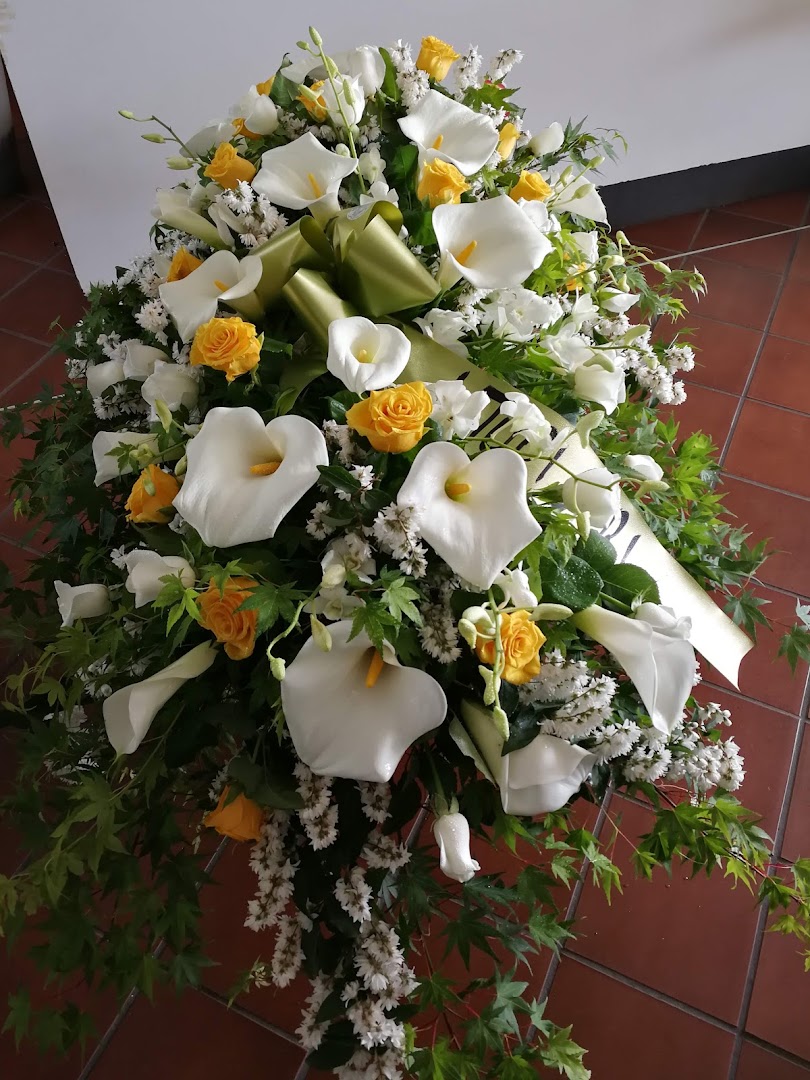 Sola Enrico Fiori e Piante