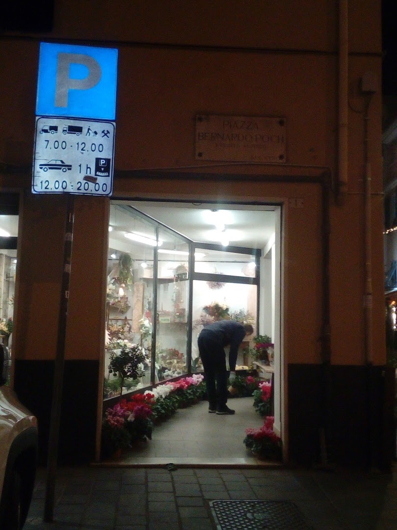 Sommariva Giorgio Fiori e Piante Genova