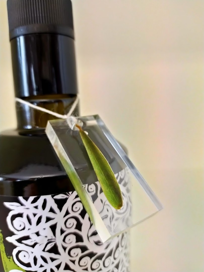 Sordana, l'Olio Extra Vergine d'oliva, Collecorvino