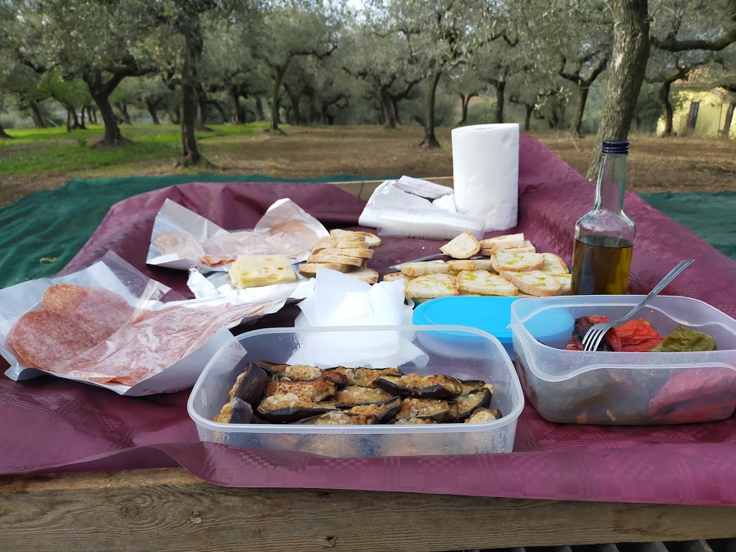 Sordana, l'Olio Extra Vergine d'oliva