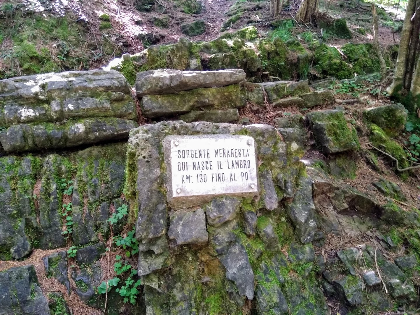 Sorgente del fiume Lambro