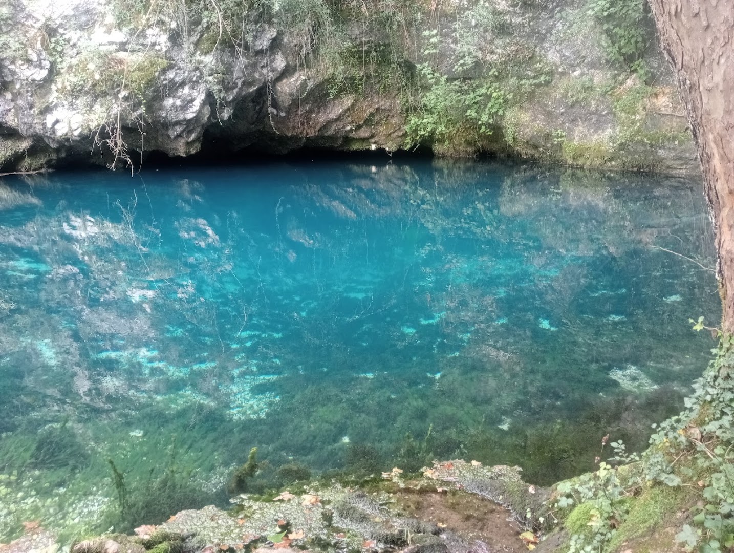 Sorgente del Gorgazzo