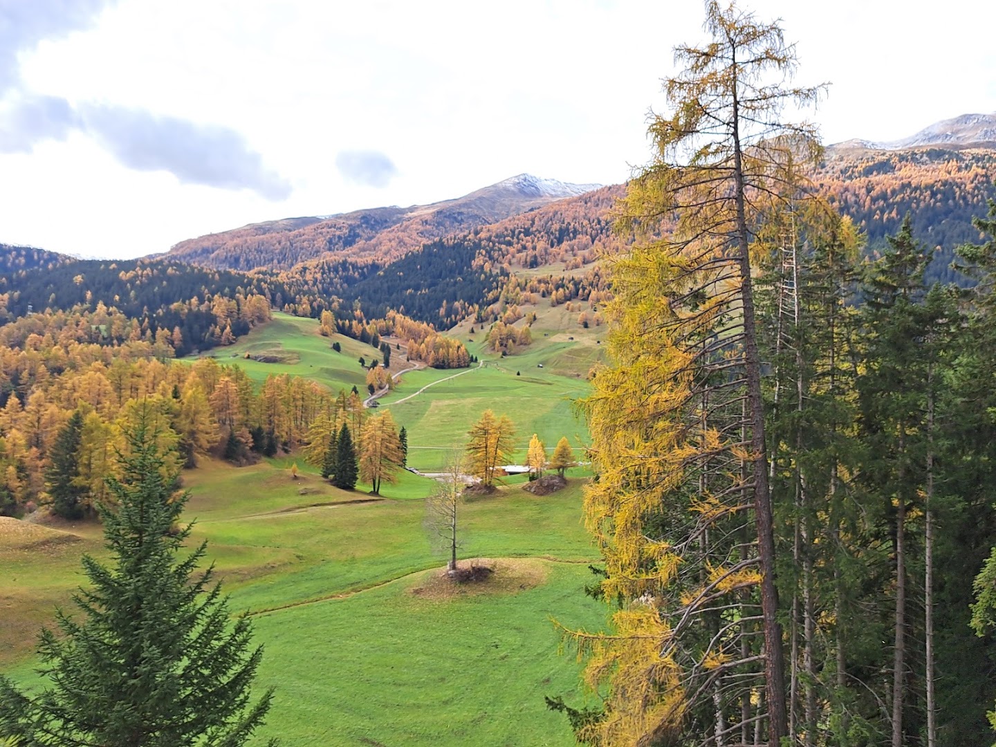 Sorgente dell'Adige