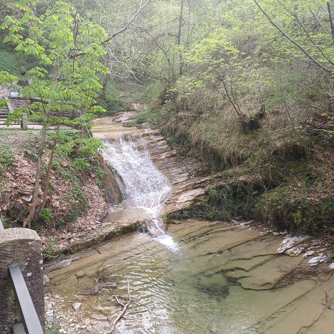 Sorgente Sulfurea del Chiardovo