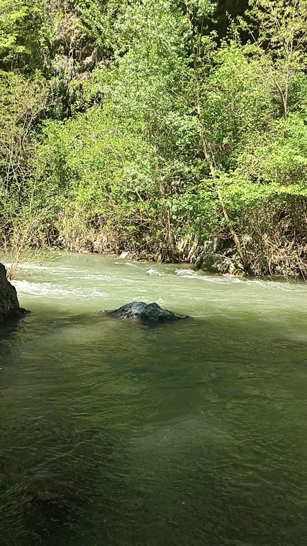 Sorgenti sulfuree de "Lu vurghe"