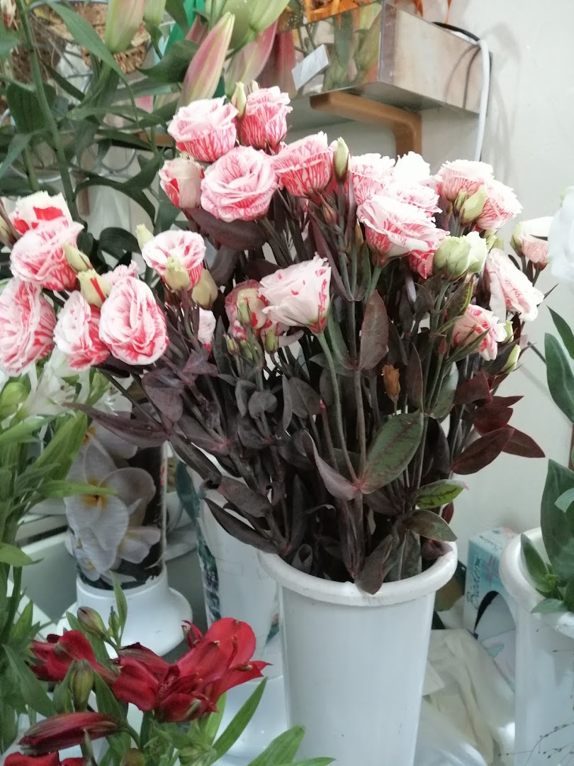 Sorriso di Primavera