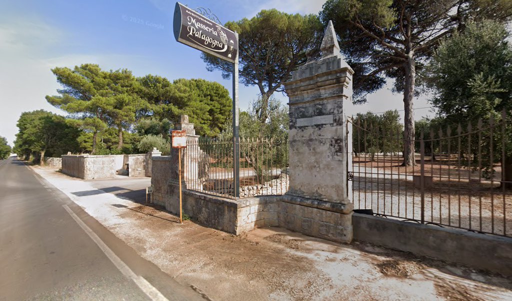 SP581 - Contrada Palagogna - Direzione Ceglie