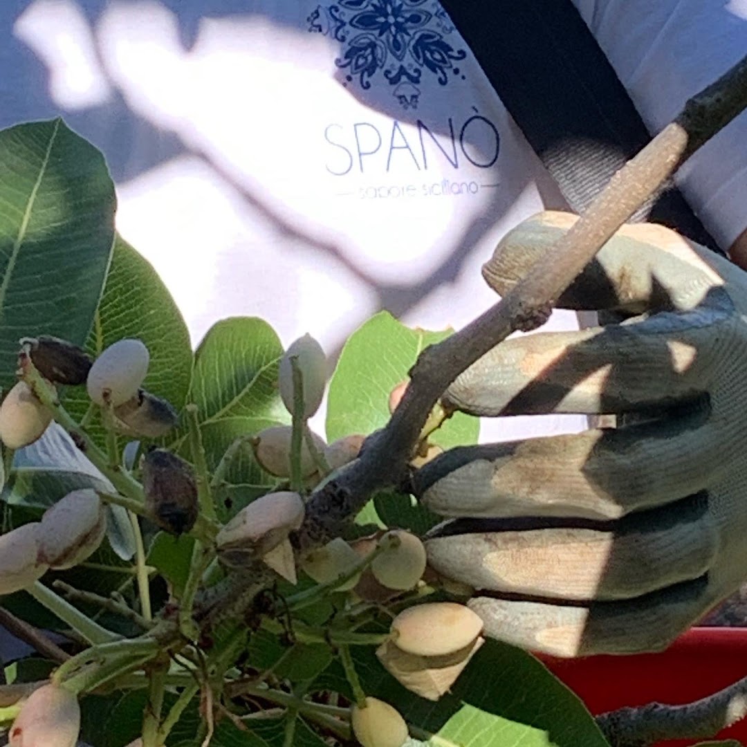 Spanò - Sapore Siciliano