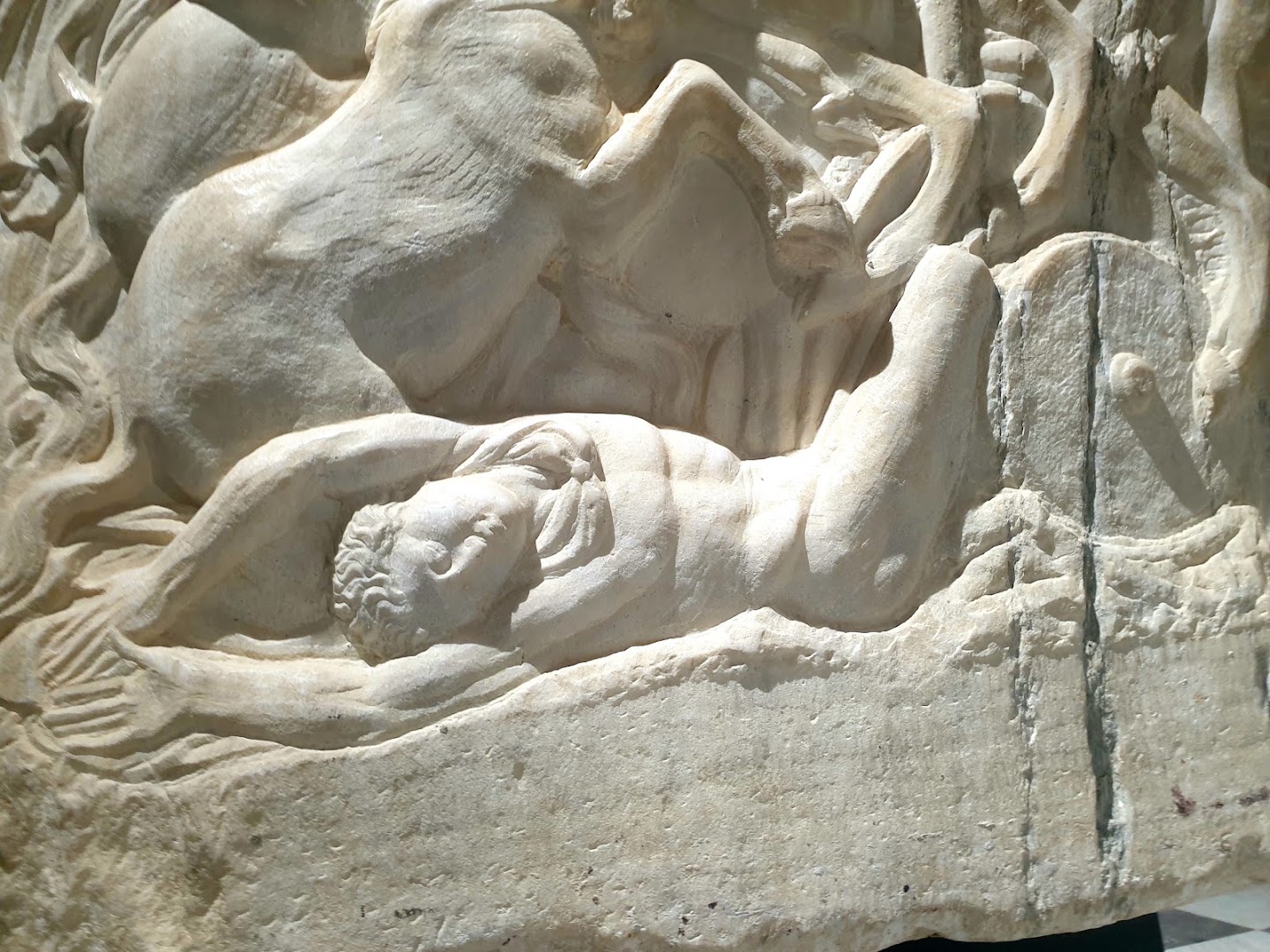 Spazi espositivi della Cattedrale - Sezione archeologica