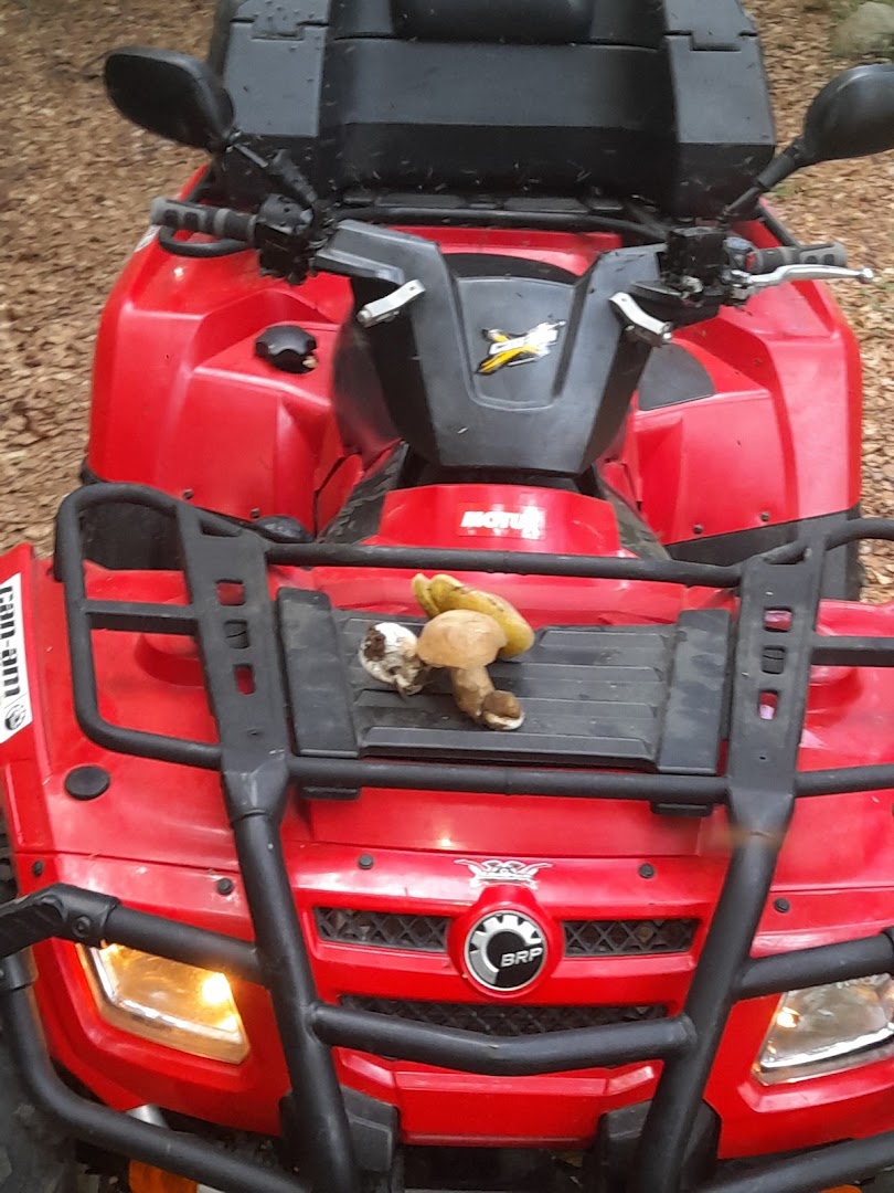Special Moto di Salvatore Astorino
