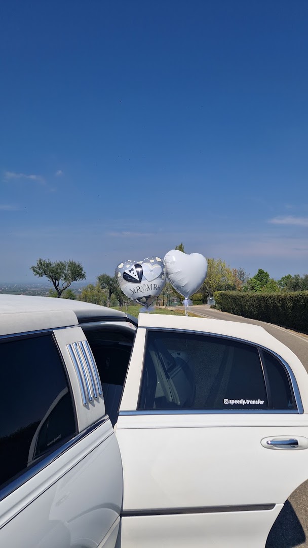 Speedy Limousine