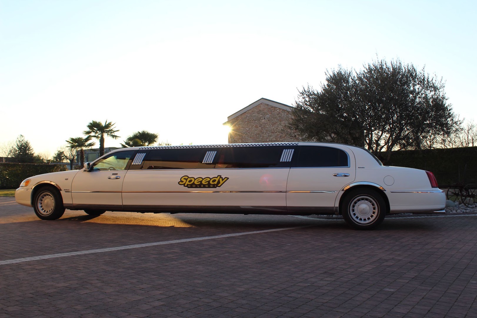 Speedy Limousine