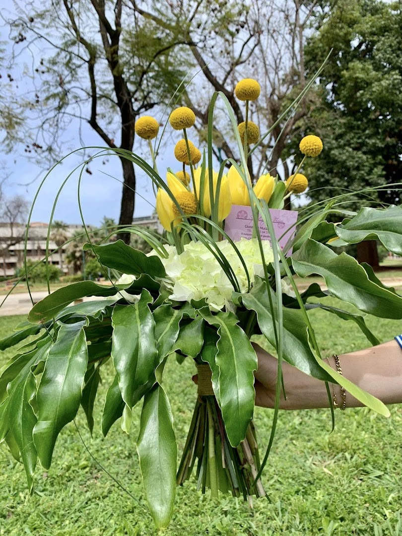 Sperlinga Fiori, Palermo