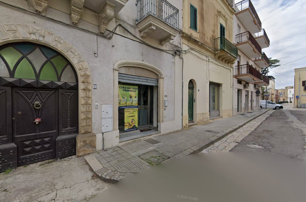 SpesamiTu - Tutto ciò che vuoi comodamente a casa Tua!