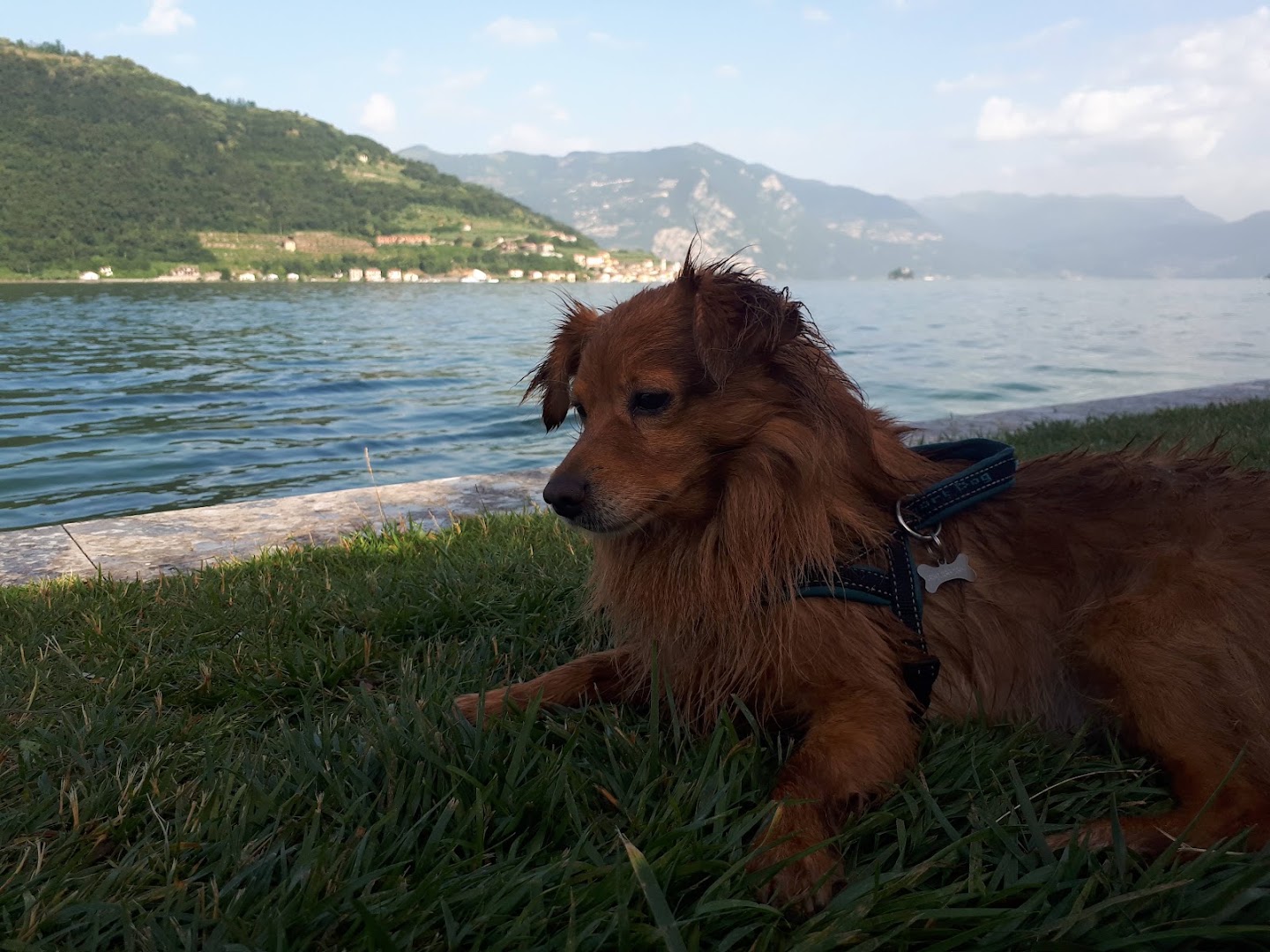 Spiaggetta San Pietro
