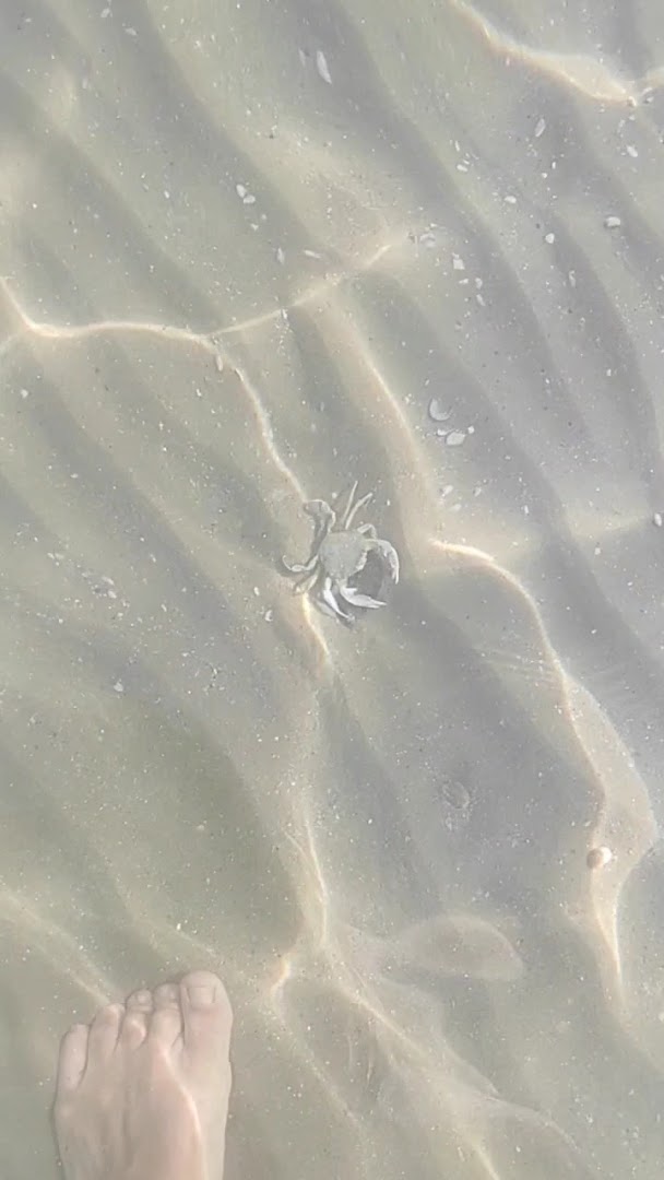 Spiaggia 105