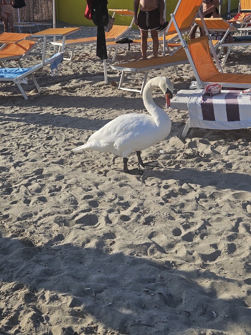 Spiaggia 3 Alberi