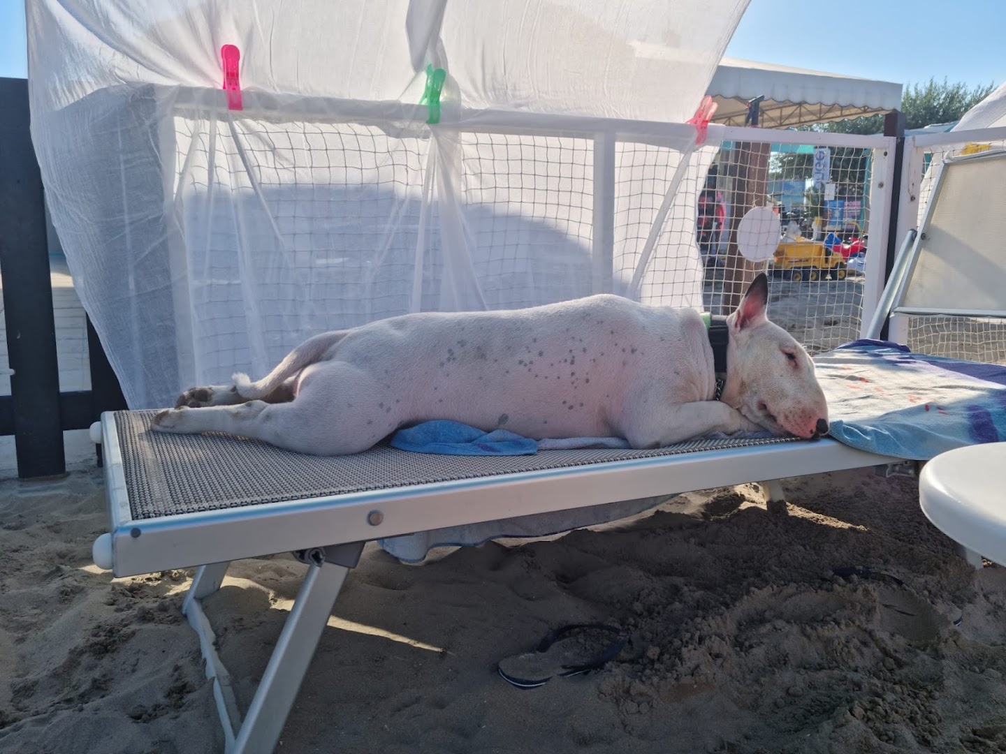 Spiaggia 38 Riccione Playa Denis
