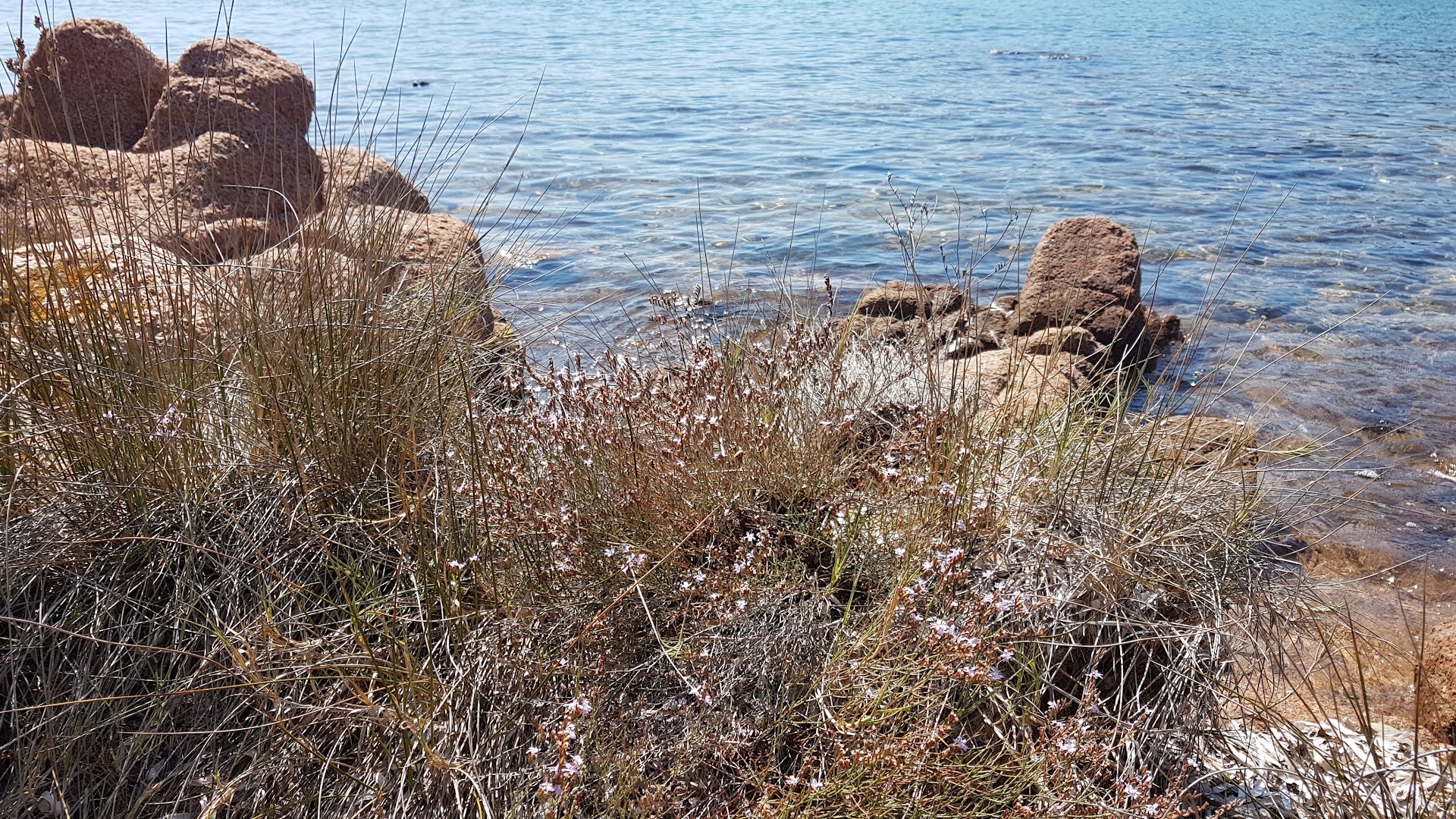 Spiaggia Cala Finanza