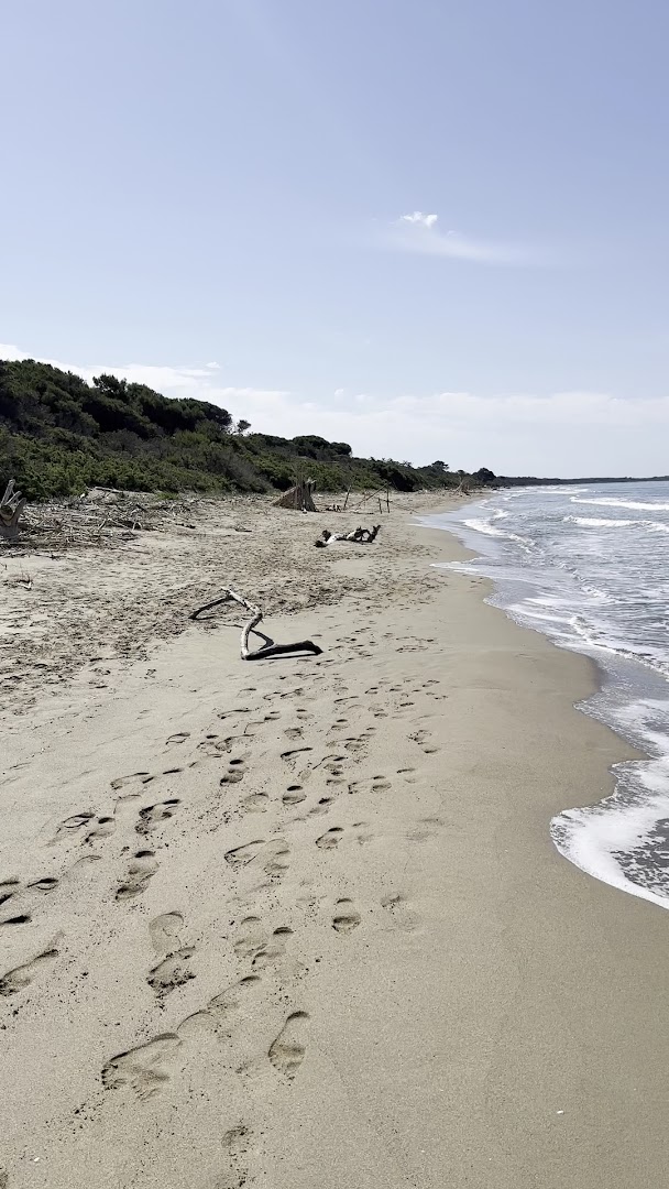 Spiaggia dell'Osa
