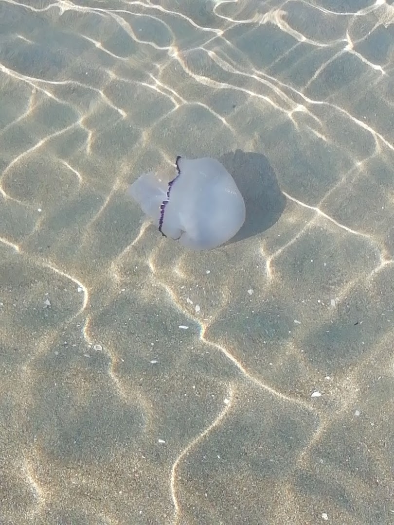 Spiaggia dell'Osa