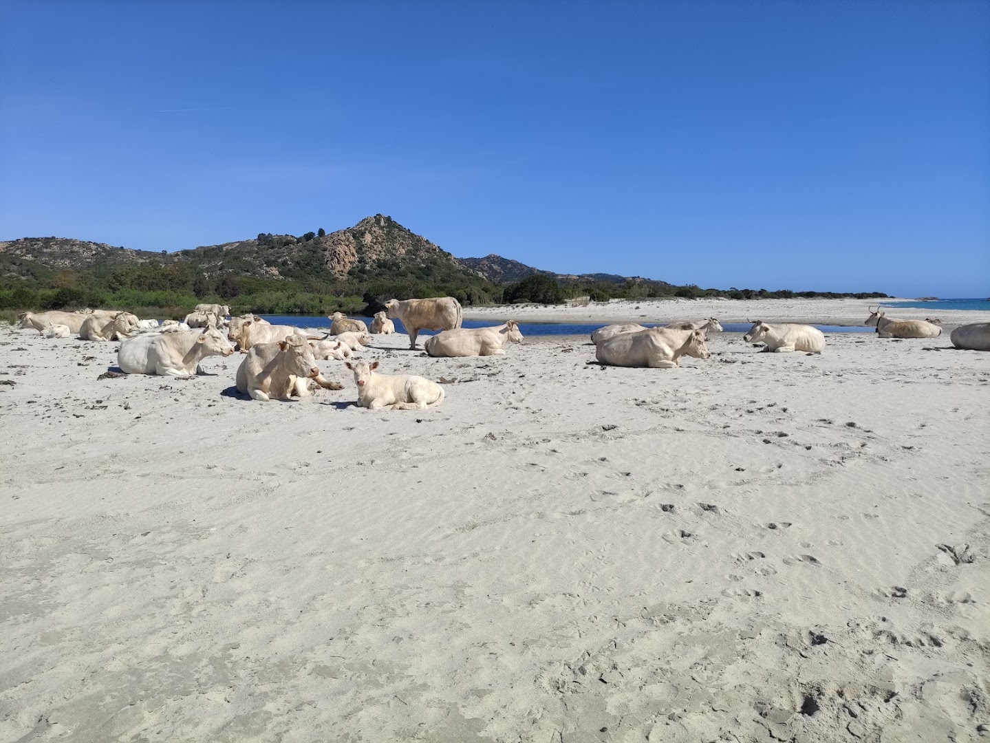 Spiaggia di Berchida