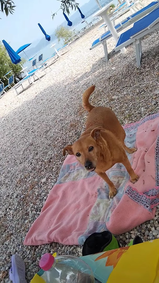 Spiaggia La Bosca