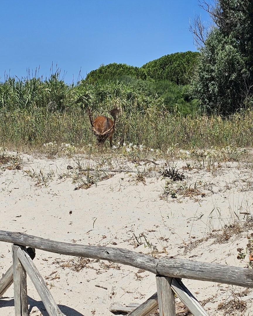 Spiaggia La Stalla