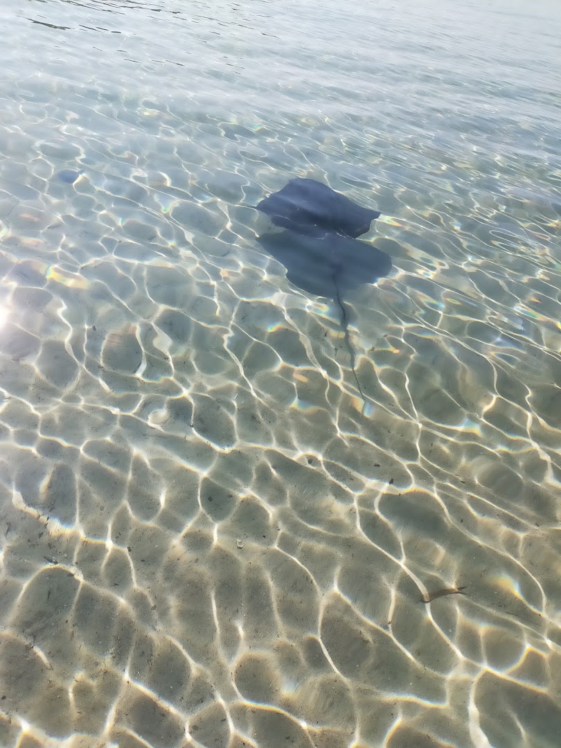 Spiaggia La Stalla
