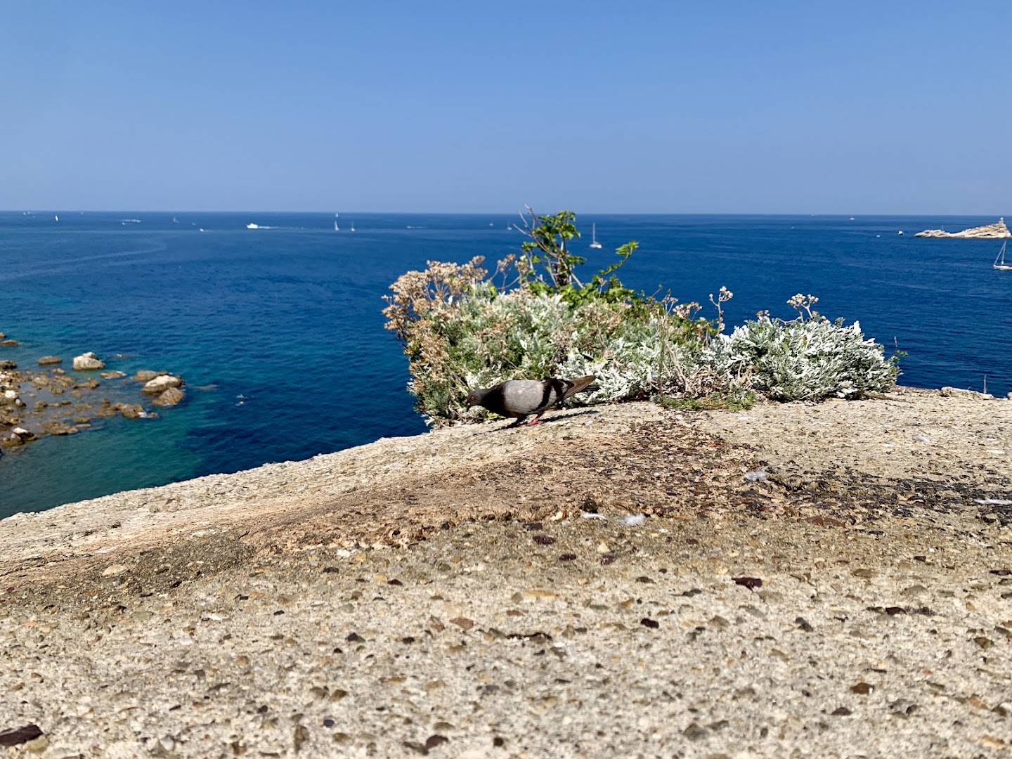 Spiaggia le Viste