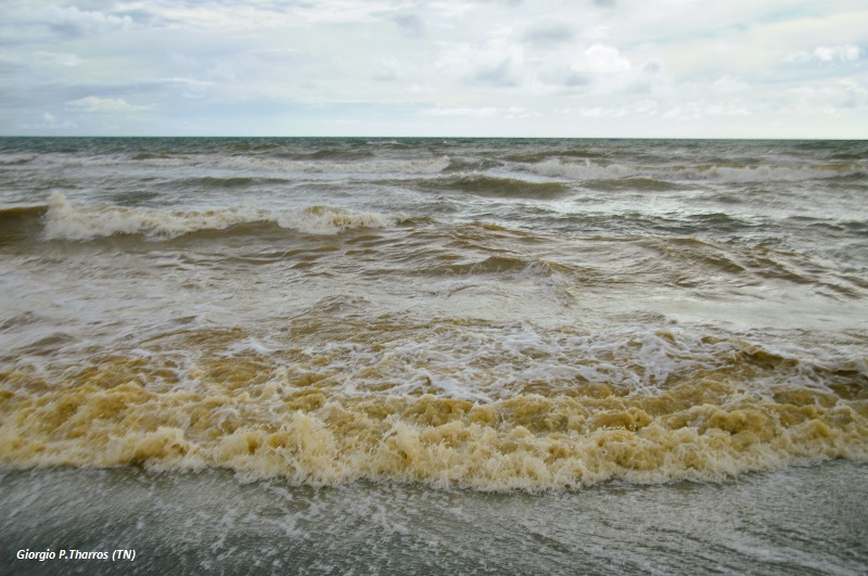 Spiaggia libera Via Trento, Ladispoli
