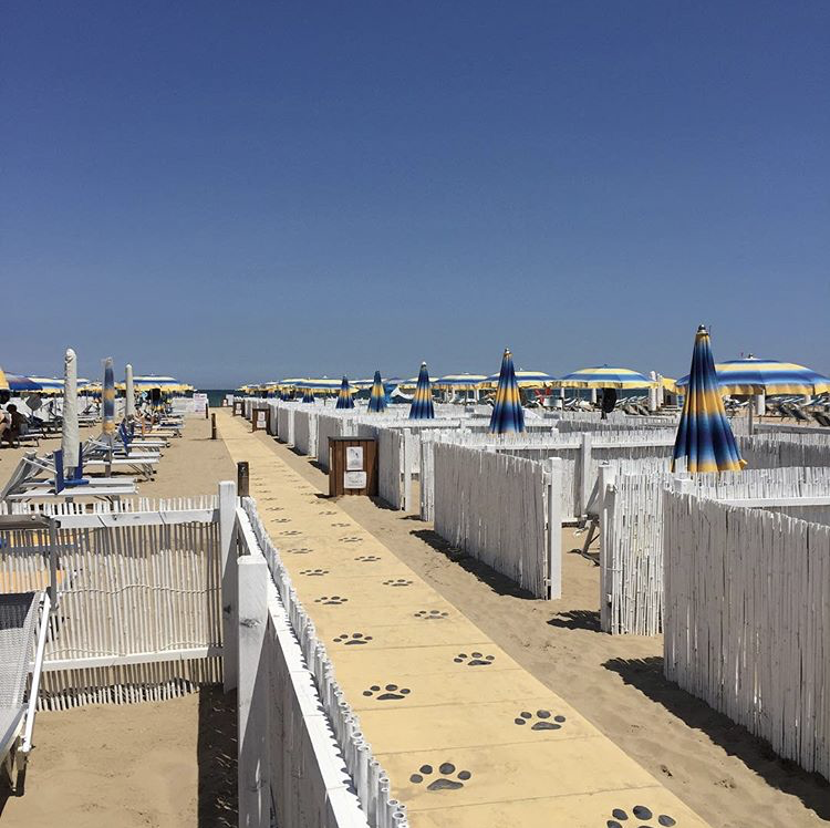 Spiaggia per cani a Rimini - Rimini Dog No problem