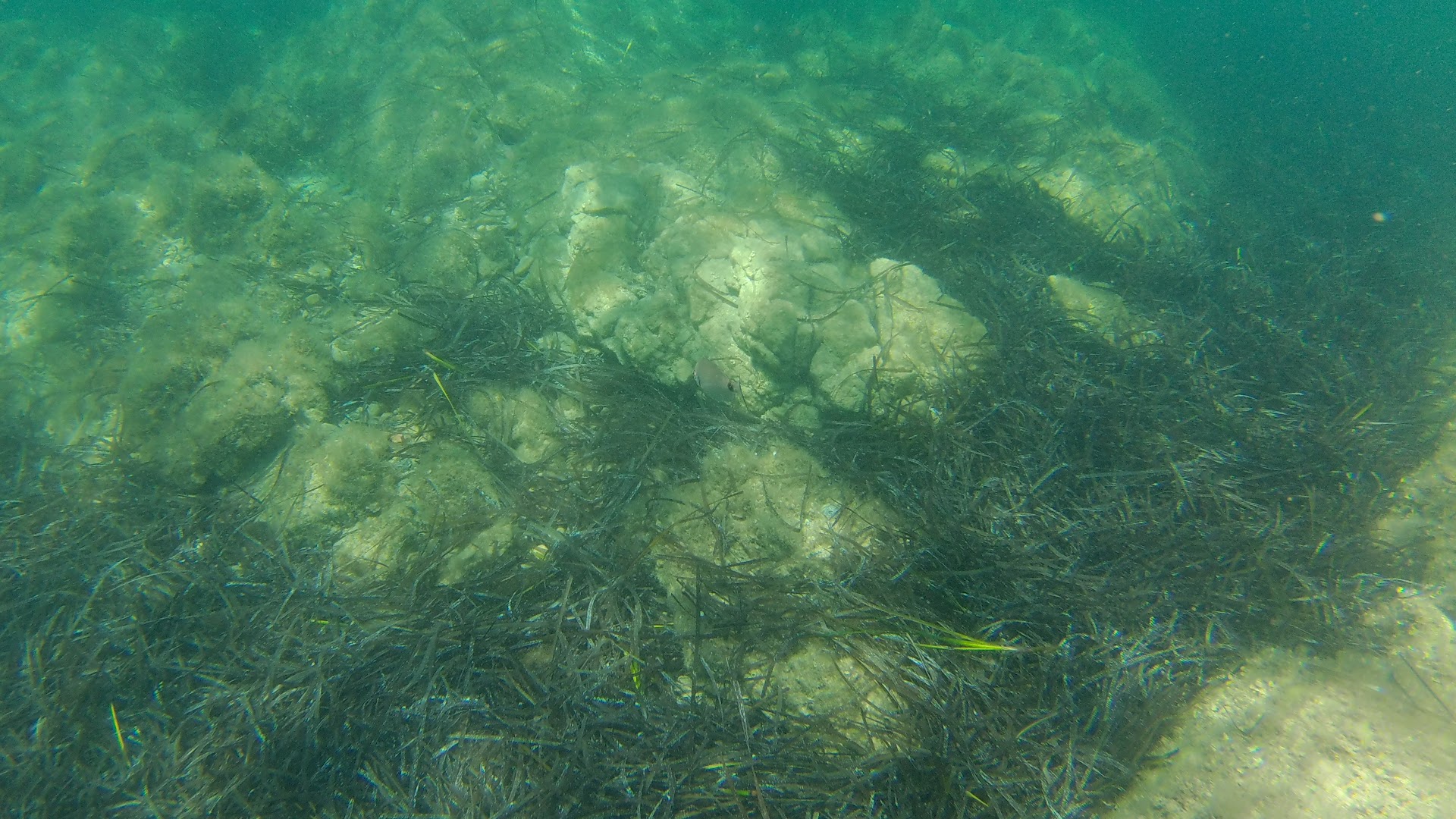 Spiaggia Razza di Junco, Arzachena