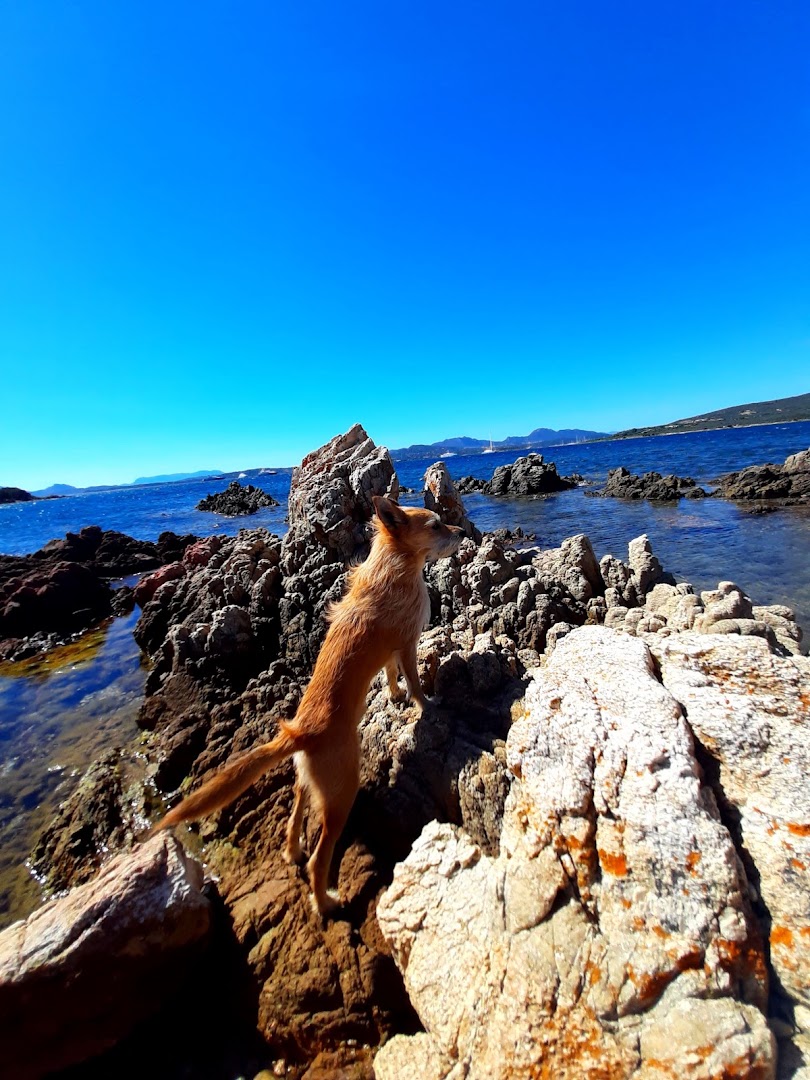 Spiaggia Razza di Junco
