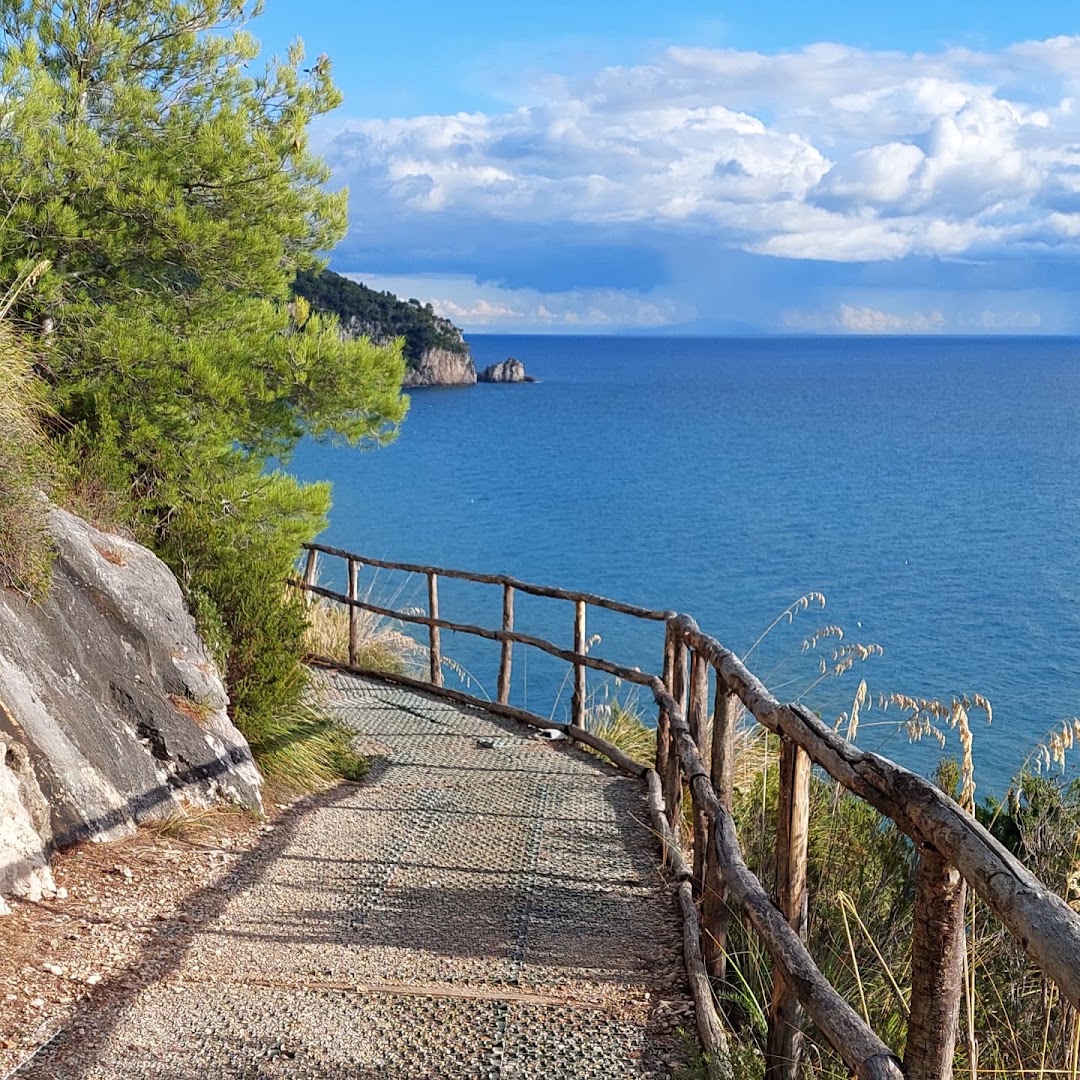 Spiaggia Selvaggia