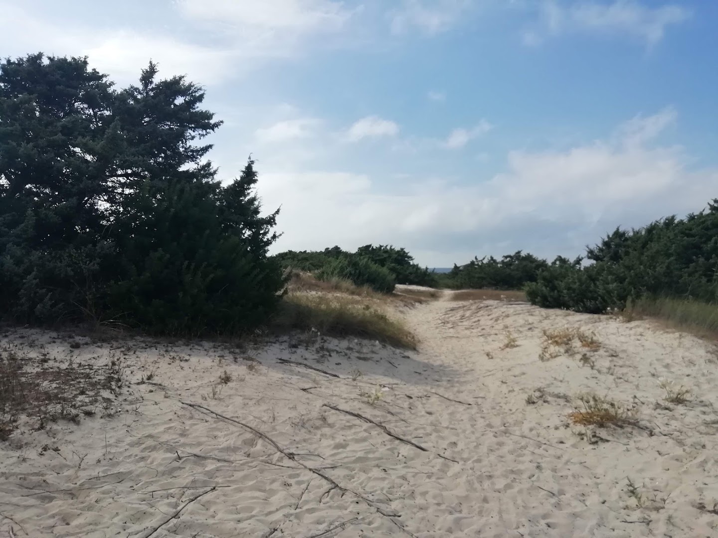 spiaggia