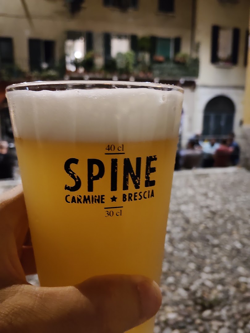 Spine