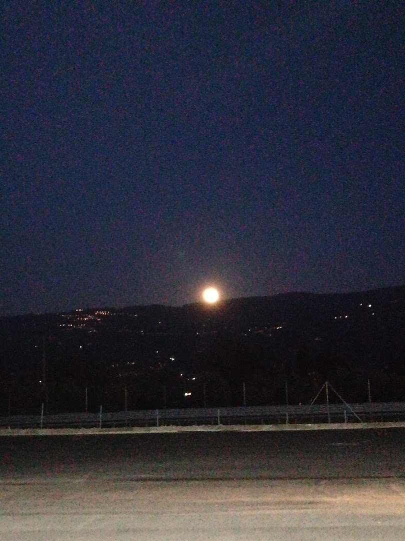 Splendidi e Splendenti