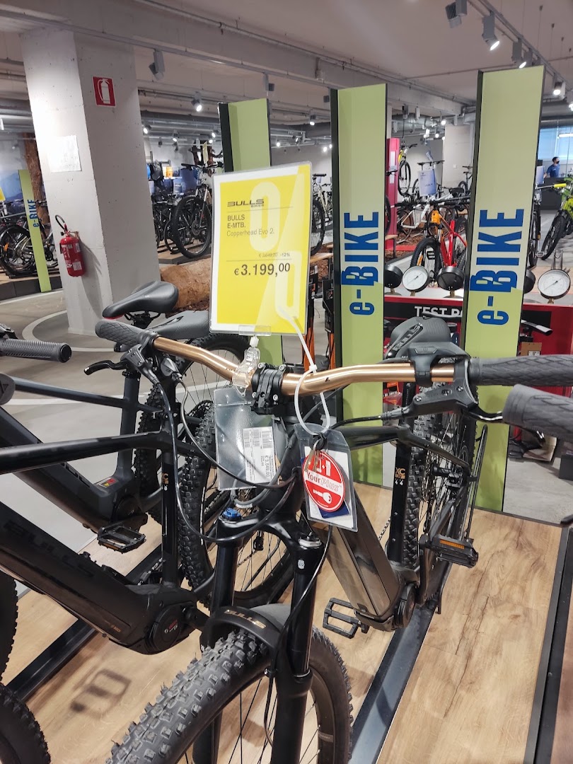 Sportler, Tavagnacco