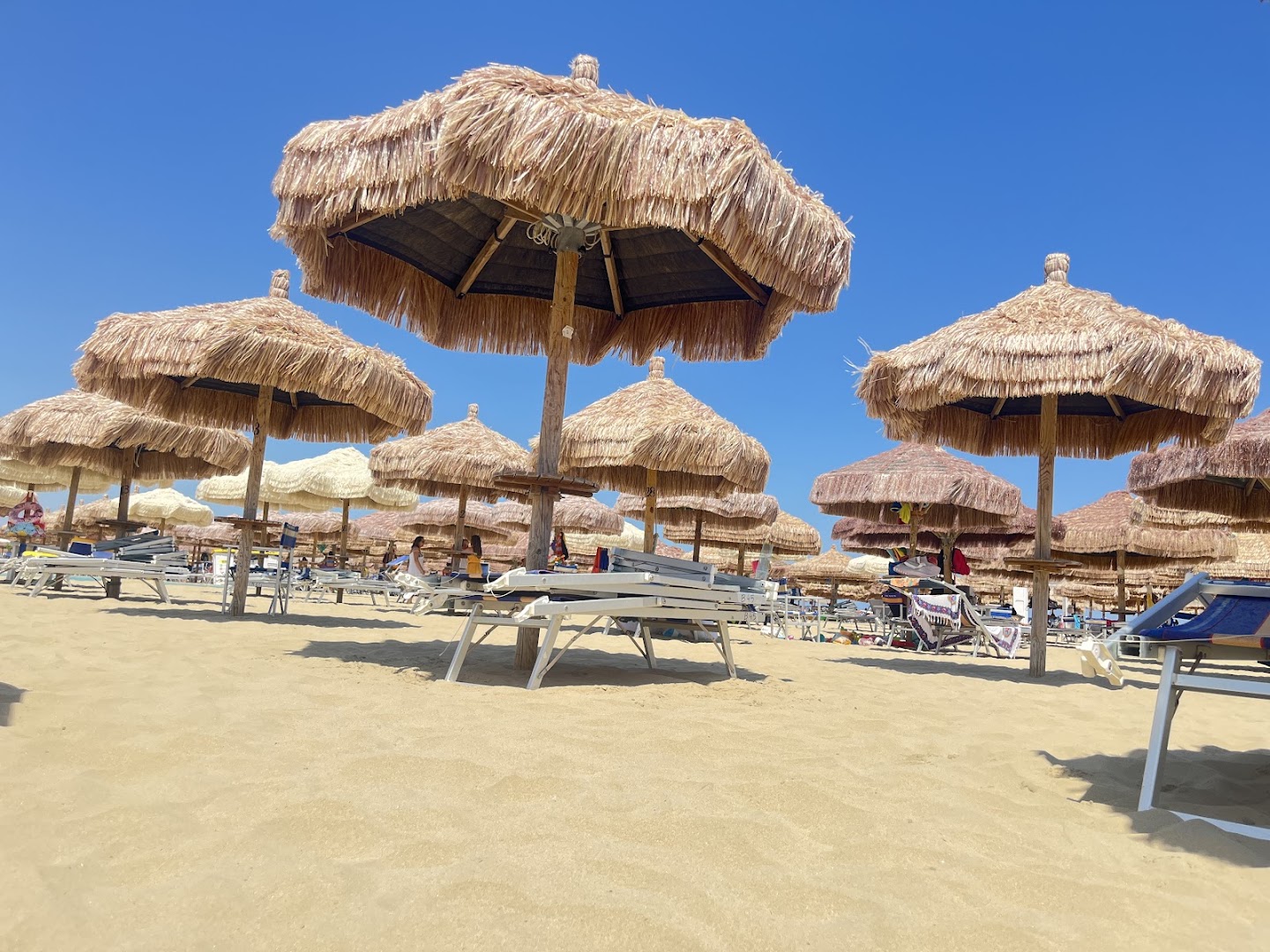 Stabilimento Baia Papaya