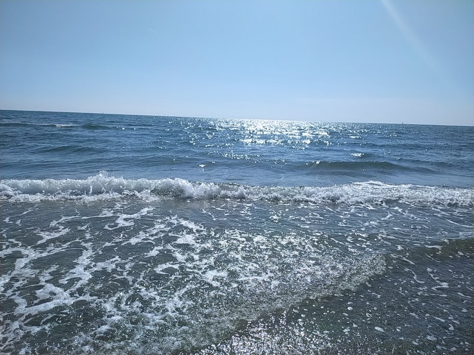 Stabilimento Balneare Bagno La Conchiglia